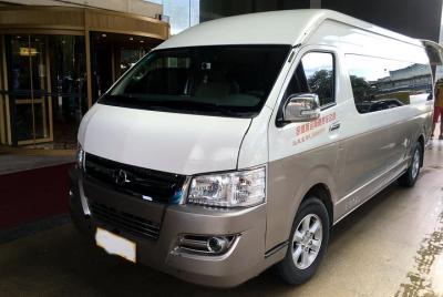 Private Departure Transfer: Hotel to Urumqi Diwopu International 