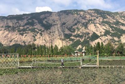 The Best of Wenzhou Walking Tour The Best of Wenzhou Walking Tour
