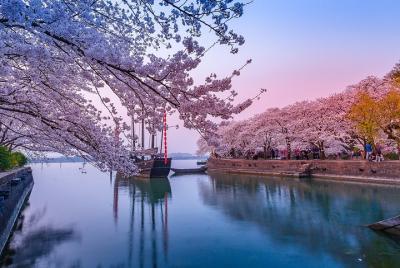 Private Transfer between Wuxi city and Taihu Yuantouzhu Scenic  Private Transfer between Wuxi city and Taihu Yuantouzhu Scenic