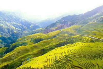 Private Day Tour to Longji Rice Terrace from Yangshuo