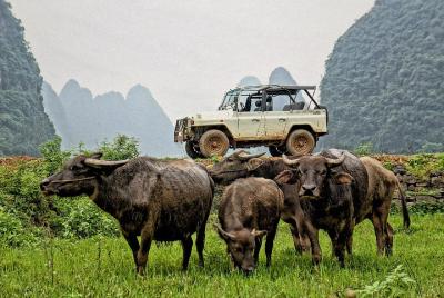 VISTA RIDE: Private tour in nature in vintage convertible jeep