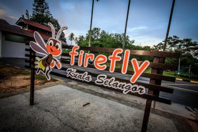 Fireflies Tour - Sic Fireflies Tour - Sic