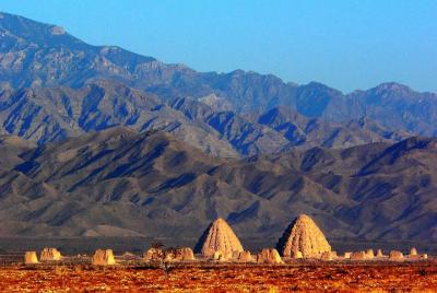 Yinchuan Private Day Tour to Western Xia Tombs and Rock Paintings