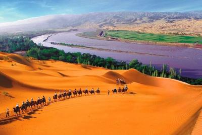 3 Days Ningxia Desert Camping & Nomadic Rock Art Exploration