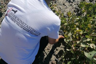 Premium Santorini Wine Tasting Premium Santorini Wine Tasting