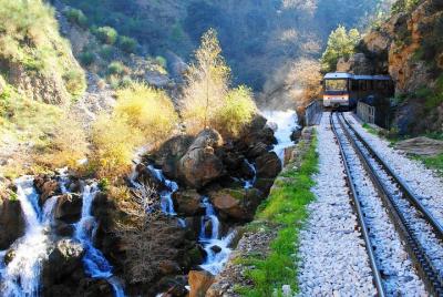 Explore nature & history in Kalavryta Explore nature & history in Kalavryta