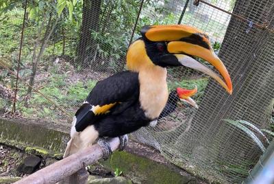 Garden & Park Half Day Tour (SIC Tour – Join In Tour) Garden & Park Half Day Tour (SIC Tour – Join In Tour)