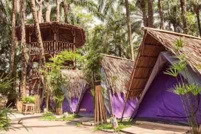 Eco tents at Tadom Hill Resort with Diving Platform, Water Swing  Eco tents at Tadom Hill Resort with Diving Platform, Water Swing