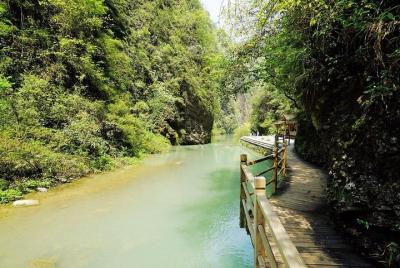 1-Day Zhangjiajie Tour: Grand Canyon with Glass Bridge and Yellow Dragon Cave 1-Day Zhangjiajie Tour: Grand Canyon with Glass Bridge and Yellow Dragon Cave