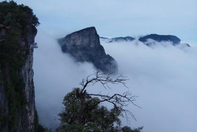 Tianmen Mountain one day tour