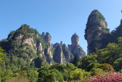 National Forest Park (Yuanjiajie, Mt. Tianzi & Golden Whip Stream) Private Tour