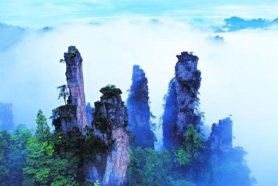Private Day Trip of Zhangjiajie National Forest Park and Glass Bridge Private Day Trip of Zhangjiajie National Forest Park and Glass Bridge