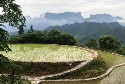 4 Days Zhangjiajie Highlights with Rice Terrace View (Hand-picked Featured Inn) 4 Days Zhangjiajie Highlights with Rice Terrace View (Hand-picked Featured Inn)