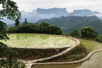 4 Days Zhangjiajie Highlights with Rice Terrace Tour (Classical Boutique Hotel) 4 Days Zhangjiajie Highlights with Rice Terrace Tour (Classical Boutique Hotel)