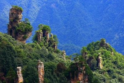 Zhangjiajie National Forest Park Day Tour Including Lunch Zhangjiajie National Forest Park Day Tour Including Lunch