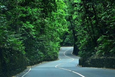 Eco-Tour (Konoko Falls- Fern Gully- Yaaman Adventure Park) from O Eco-Tour (Konoko Falls- Fern Gully- Yaaman Adventure Park) from O