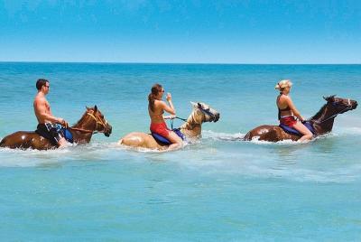 Private Transfer to Beach Horse Back Ride and Swim Private Transfer to Beach Horse Back Ride and Swim