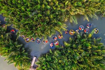 Hoi An Coconut Tour Including Lunch And Life Jacket Hoi An Coconut Tour Including Lunch And Life Jacket