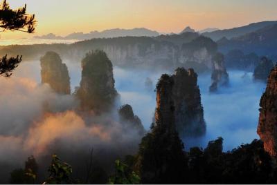 Full-Day Zhangjiajie National Park Private Tour with Lunch Full-Day Zhangjiajie National Park Private Tour with Lunch