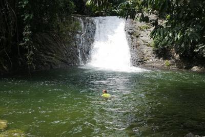Paradise Pool with Tropical Harvest Paradise Pool with Tropical Harvest