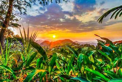 Chocolate and Coffee Tour in Minca from Barranquilla