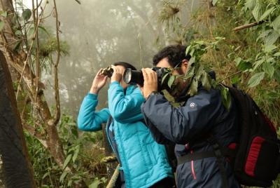 Day Trip to Chicaque National Park: Cloud Forest, Birdwatching—Or Day Trip to Chicaque National Park: Cloud Forest, Birdwatching—Or