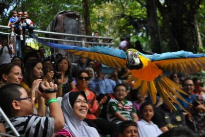 Kuala Lumpur Bird Park Admission Ticket with Free City Tour Kuala Lumpur Bird Park Admission Ticket with Free City Tour