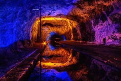 Tour to the Salt Mines in Nemocon and Andrés Carne De Res (Privat Tour to the Salt Mines in Nemocon and Andrés Carne De Res (Privat