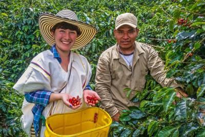 Coffee Tour - Taste And Live The Authentic Colombian Coffee Exper Coffee Tour - Taste And Live The Authentic Colombian Coffee Exper