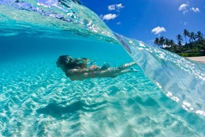 Isla Barú Full Day Tour from Cartagena