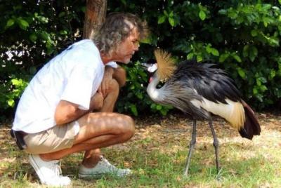 National Aviary of Colombia and White Beaches