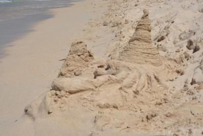 Popular Terrestrial White Beach Popular Terrestrial White Beach