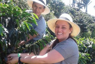 coffee tour coffee tour
