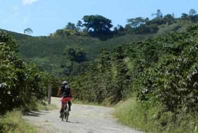 Landscape and coffee route by bicycle Landscape and coffee route by bicycle