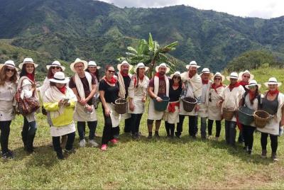 Coffee Tour in Medellin