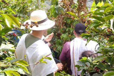 Coffee tour, a coffee between mountains.