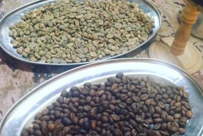 Coffee culture and preparation class- tasting experience by Under Coffee culture and preparation class- tasting experience by Under