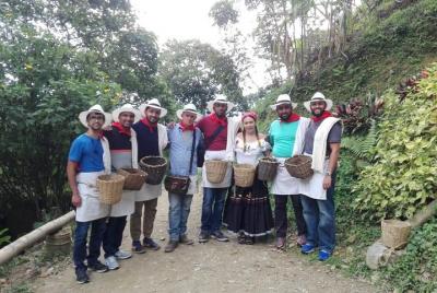 Half day coffee tour & fruit tasting 