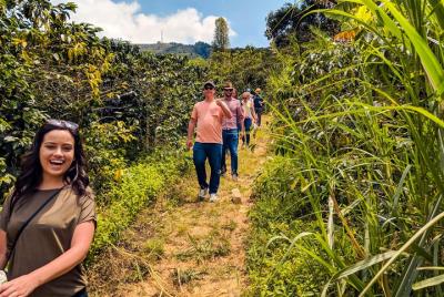 Most complete Coffee Tour in Medellín: From the Seed to the Cup i