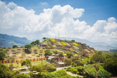From Trash to Flowers, The Moravia Community in Medellin
