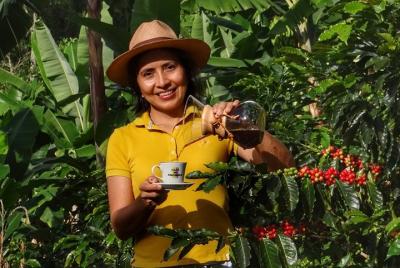 [Online Experience] Explore the Coffee Process_From Tree to Cup