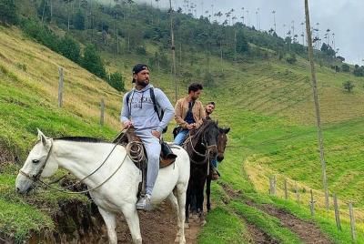 Horse Riding Cocora Valley Horse Riding Cocora Valley