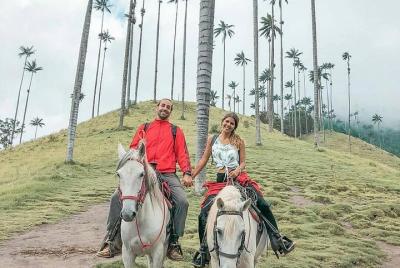 Cavalcade Rio And Palm Trees Cocora Valley Cavalcade Rio And Palm Trees Cocora Valley