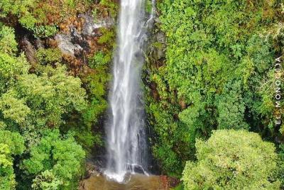 Tour great waterfall cocora valley Tour great waterfall cocora valley