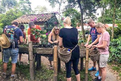 Full-Day Coffee Farm Experience at Finca El Ocaso from Salento Full-Day Coffee Farm Experience at Finca El Ocaso from Salento