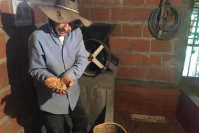 Coffee Tour Coffee, Flowers and Birds Walk