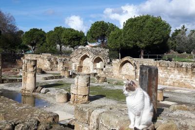 Ancient City Of PAPHOS Ancient City Of PAPHOS
