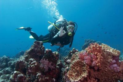 Scuba Diving from Antalya Scuba Diving from Antalya