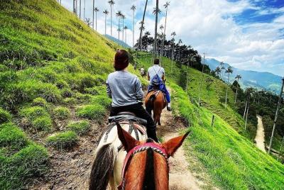 horseback riding and excursion in cocora valley horseback riding and excursion in cocora valley