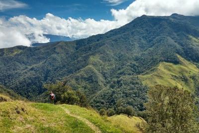 National Road Trekking - Cocora National Road Trekking - Cocora